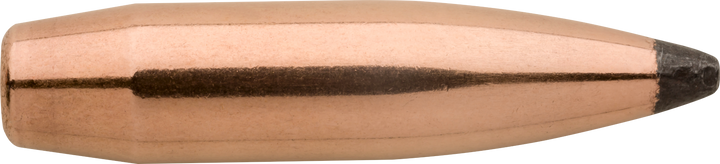 Sierra Gameking, Sierra 2165 .308 200 Sbt 100