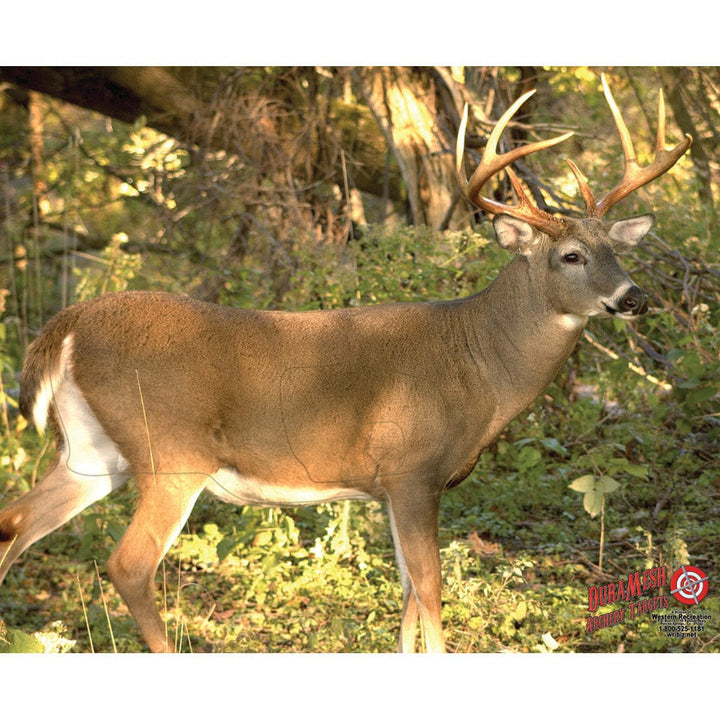 Duramesh Duramesh Archery Target Whitetail 3 25 In. X 32 In. Targets