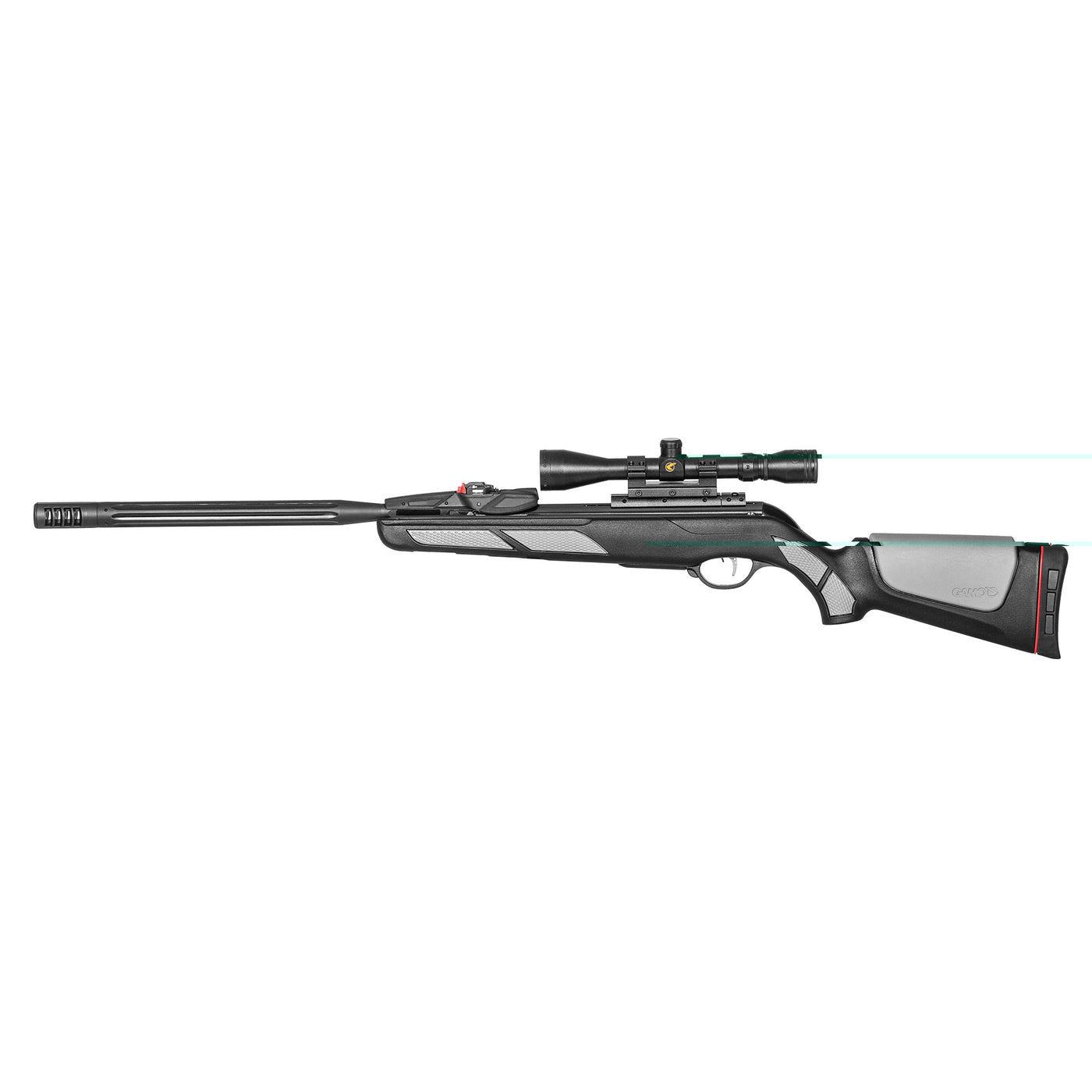 Gamo Swarm Viper 10x Gen3i Inertia Air Gun .22 Cal.