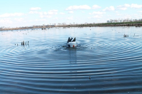 Mojo Butt Up Mallard Rippler - Decoy