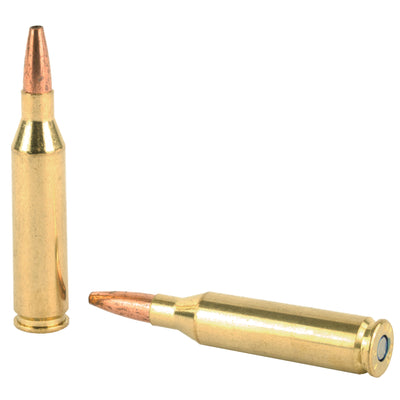 Dbltap 243win 85gr Schp 20/400