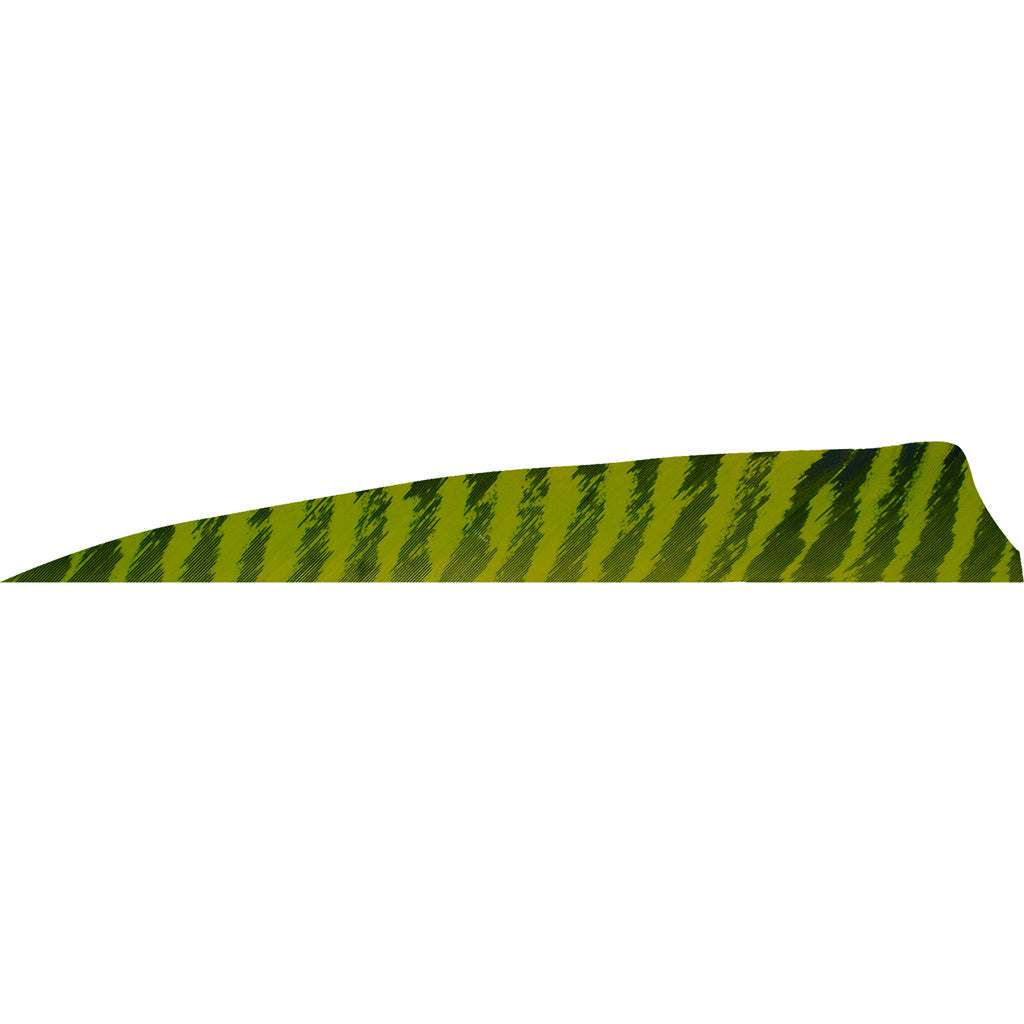 172570452.jpg