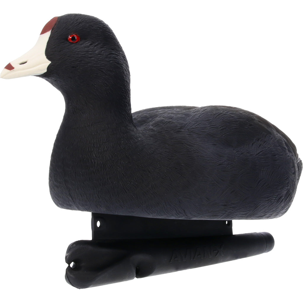 Avian X Topflight Floating Decoy Coot