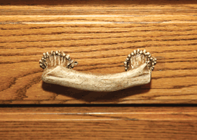 Rivers Edge Drawer Handle 4" - Antler