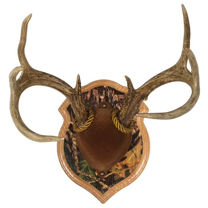 Walnut Hollow Deluxe Antler Display Kit Camo