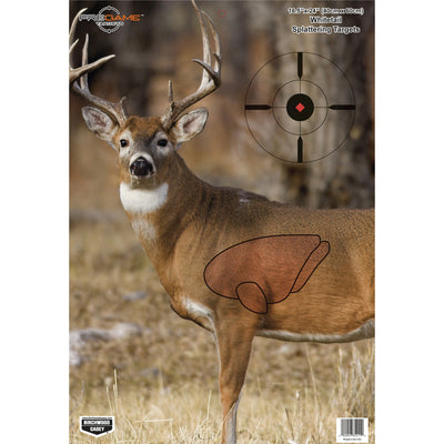 B/c Target Pregame 16.5"x24" - Whitetail Deer Target 3-targts