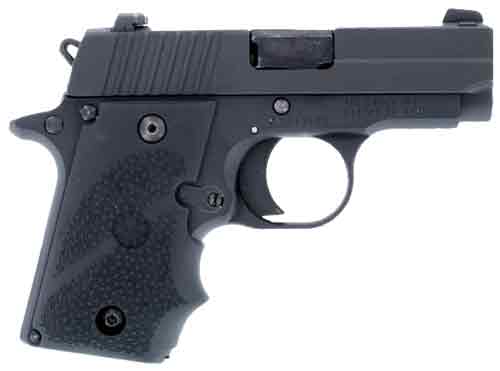 Hogue Grips Sigarms P238 -