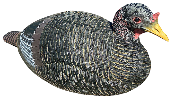 Bone Collector , Bone  Bc150006  Lay Down Hen