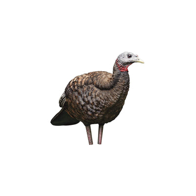 Avian-X Avian X Breeder Turkey Decoy Hunting