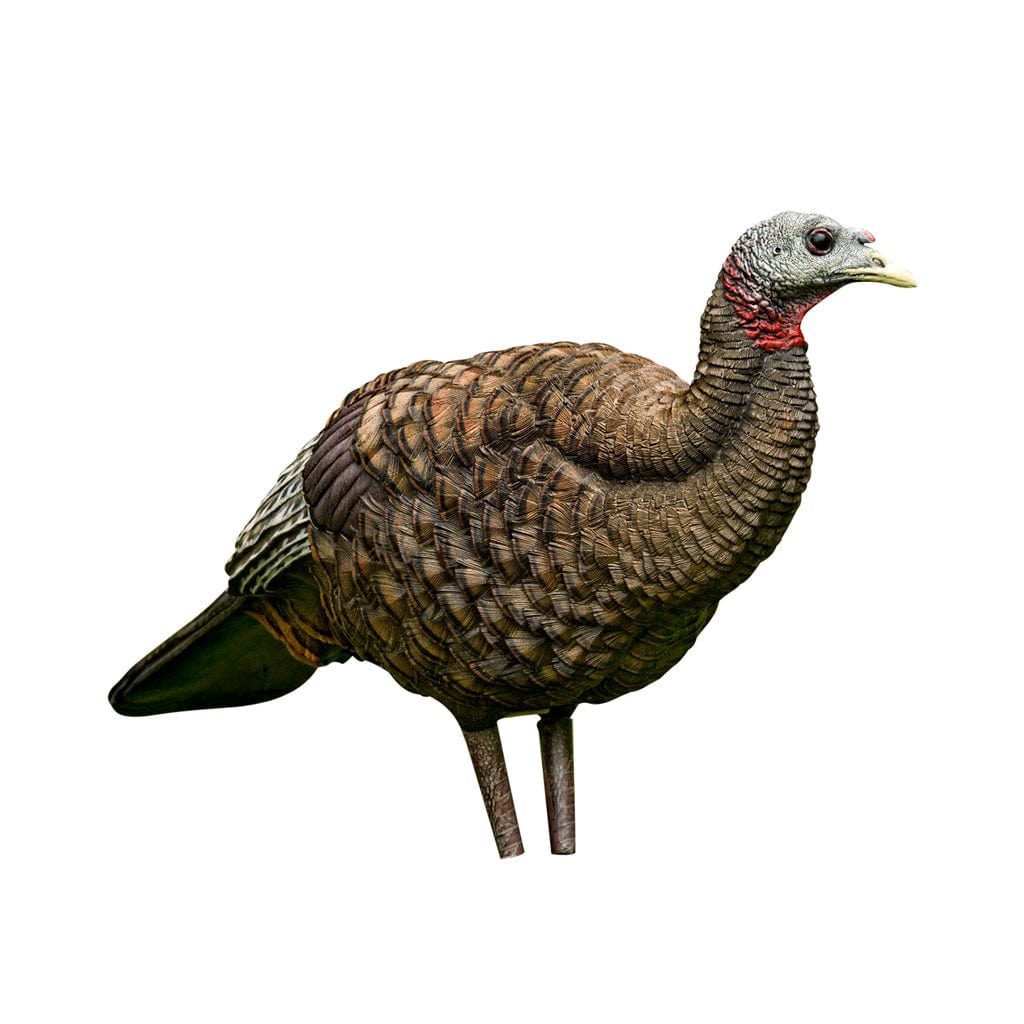 Avian-X Avian X Breeder Turkey Decoy Hunting