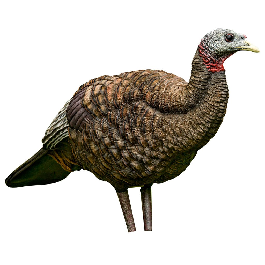 Avian-X Avian X Breeder Turkey Decoy Hunting