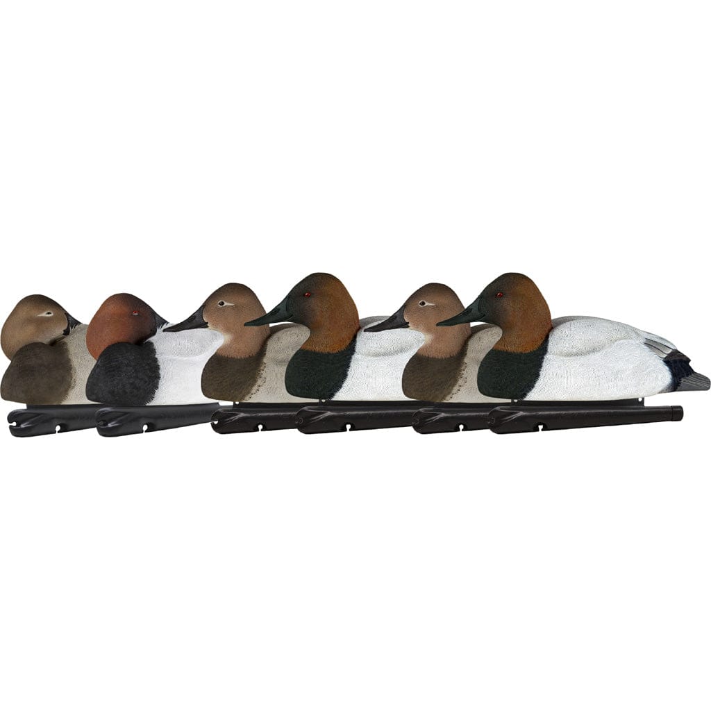 Avian X Avianx Top Flight Duck Decoys Canvasback 6 Pk. Decoys