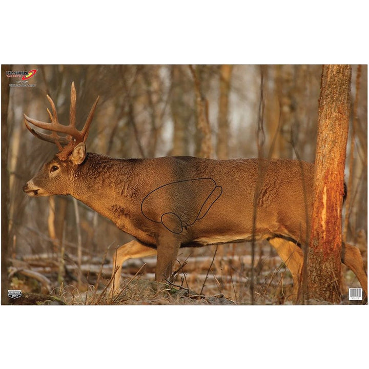 Birchwood Casey Birchwood Casey Eze-scorer Whitetail Target 23x35 In. 2 Pk. Archery Accessories