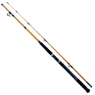 Daiwa Daiwa FT Surf Rod 2 Pieces Line Wt 10-25 Fishing