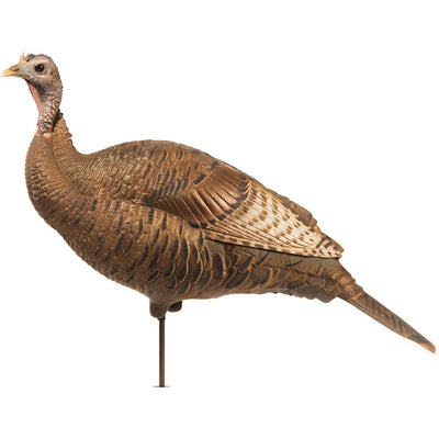 Dave Smith Decoys Dave Smith Decoy Upright Hen Decoy Decoys