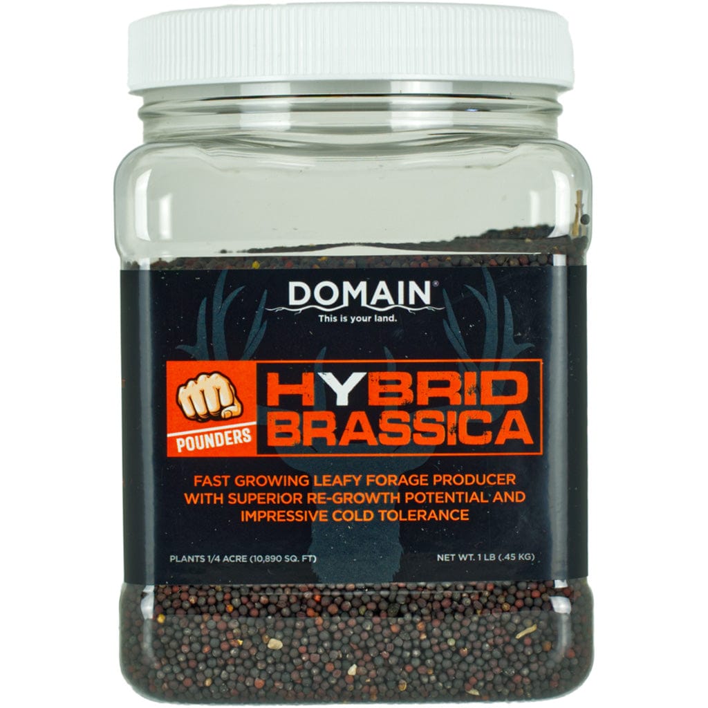 Domain Domain Hybrid Brassica Pounder Seed 1/4 Acre Feeders and Attractants