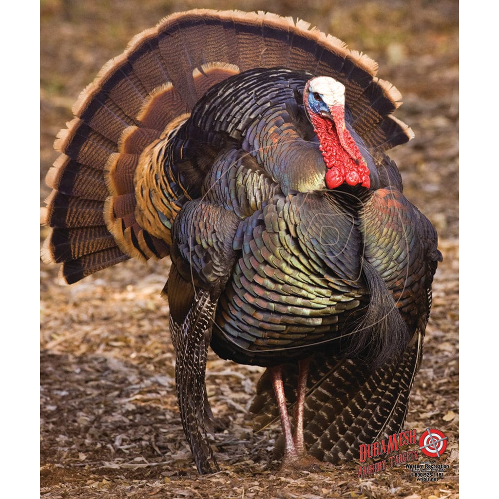 Duramesh Duramesh Archery Target Turkey 3 32 In. X 25 In. Targets