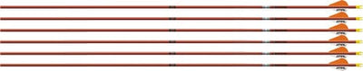Easton Easton 5mm Fmj Autumn Orange Arrows 340 2 In. Bully Vanes 6 Pk. Archery Accessories
