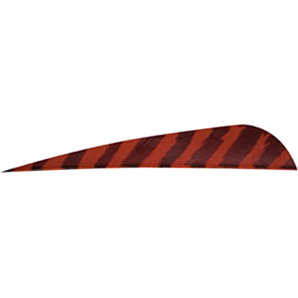 Gateway Gateway Barred Feathers Red 4 In. Rw 50 Pk. Fletching Tools and Materials