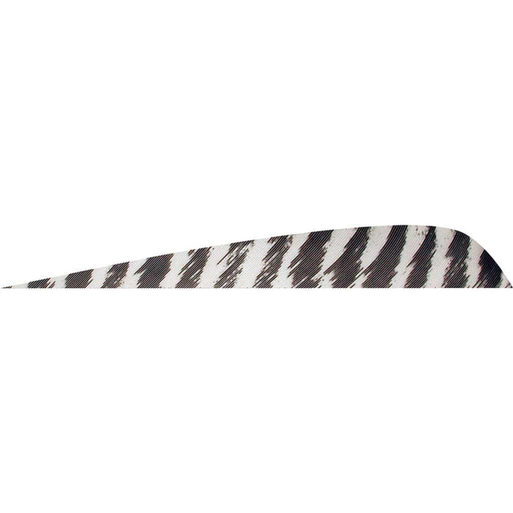 Gateway Gateway Parabolic Feathers Barred White 4 In. Lw 50 Pk. Fletching Tools and Materials