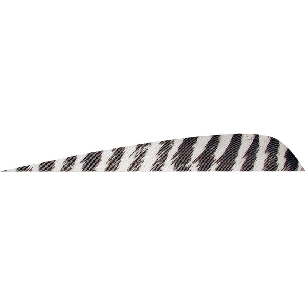 Gateway Gateway Parabolic Feathers Barred White 4 In. Lw 50 Pk. Fletching Tools and Materials