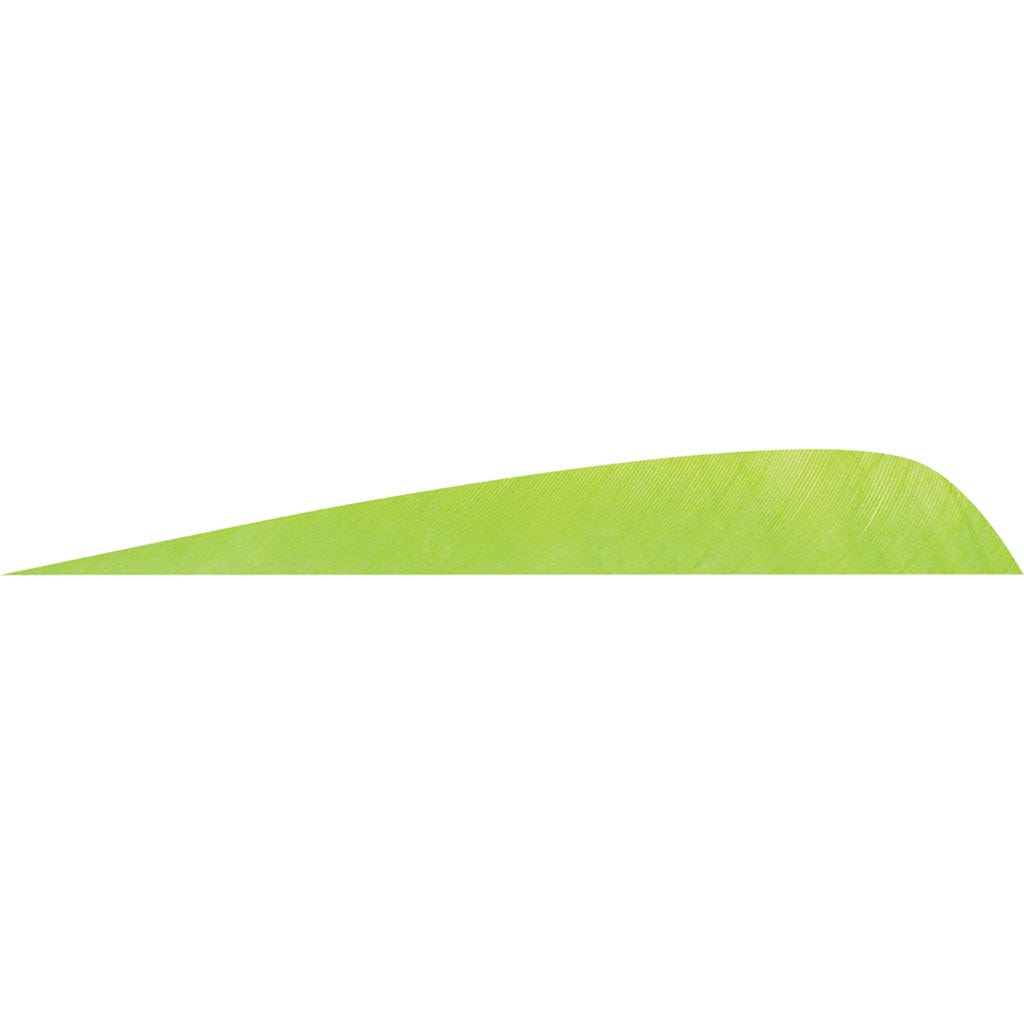 Gateway Gateway Parabolic Feathers Chartreuse 4 In. Rw 50 Pk. Fletching Tools and Materials