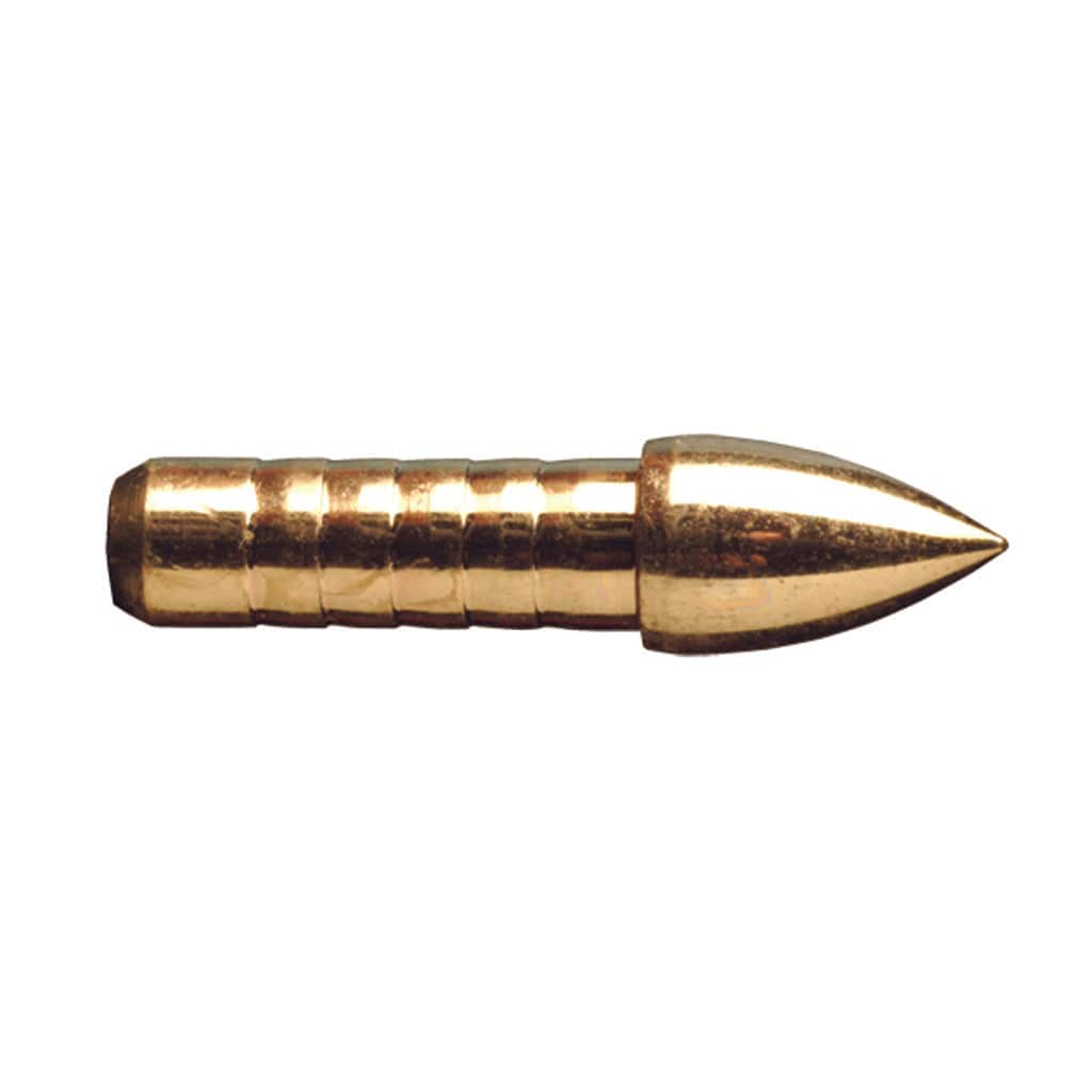 Gold Tip Gold Tip Glue In Points .246 100 Gr. 12 Pk. Arrow Components