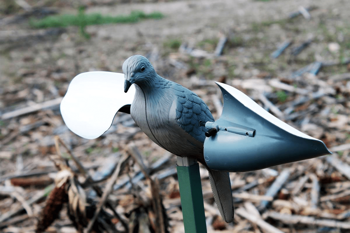 Mojo Mojo Wind Dove Decoy Hunting