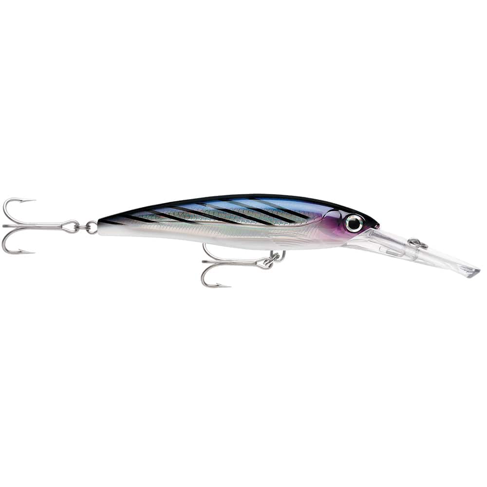 Rapala Rapala X-Rap® Magnum® 15 Bonito Hunting & Fishing