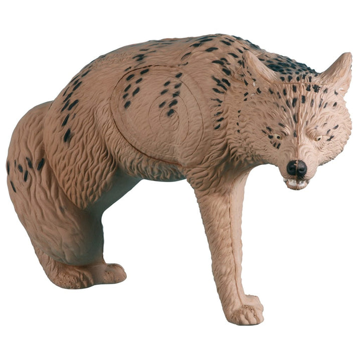 Rinehart Rinehart Coyote Target Targets
