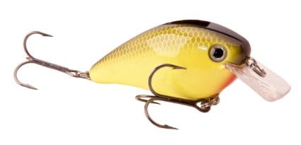Strike King Strike King Kvd2.5 Black Back Chartreuse Fishing