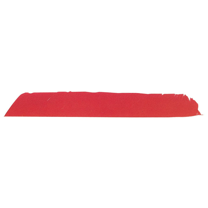 Trueflight Trueflight Full Length Feathers Yellow Lw 100 Pk. Fletching Tools and Materials