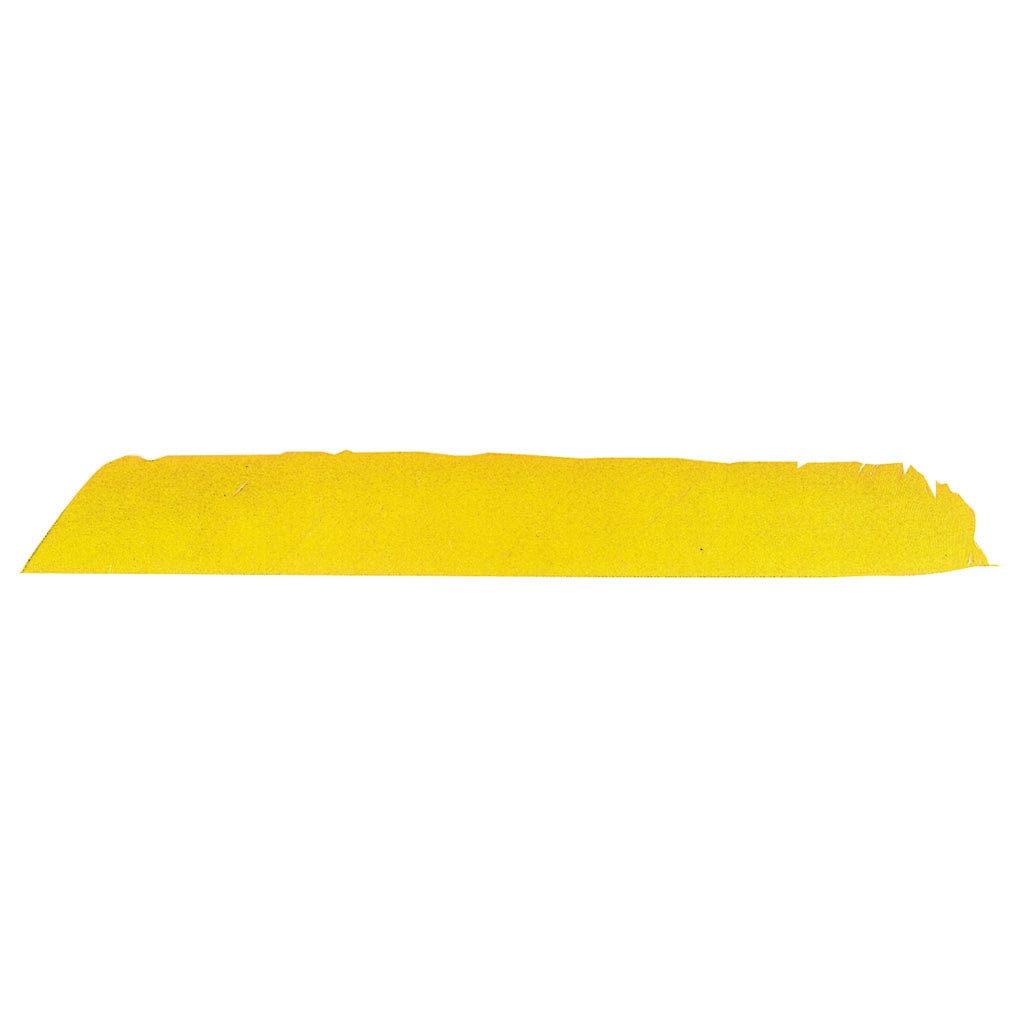 Trueflight Trueflight Full Length Feathers Yellow Rw 100 Pk. Fletching Tools and Materials