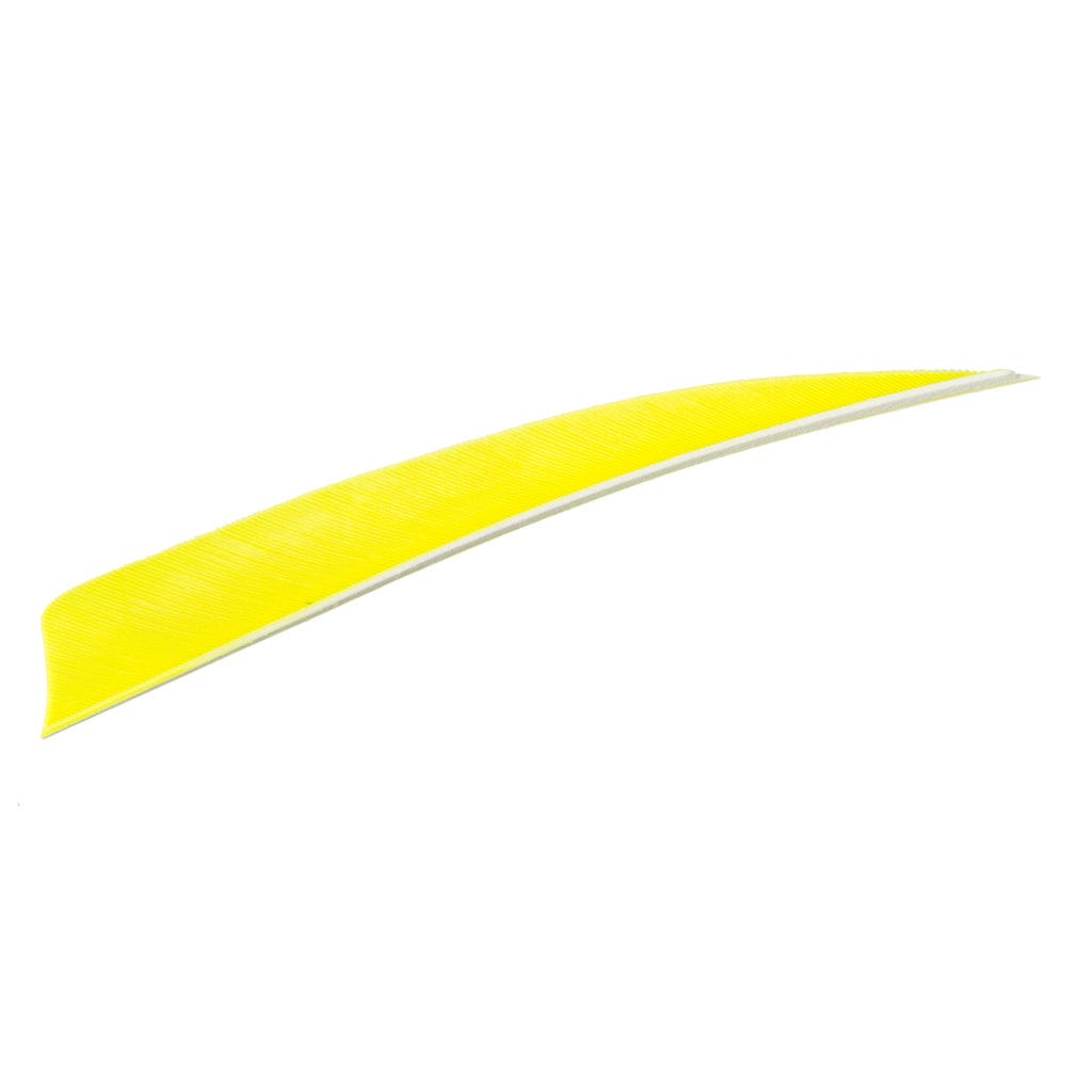 Trueflight Trueflight Shield Cut Feathers Chartreuse 5 In. Lw 100 Pk. Fletching Tools and Materials