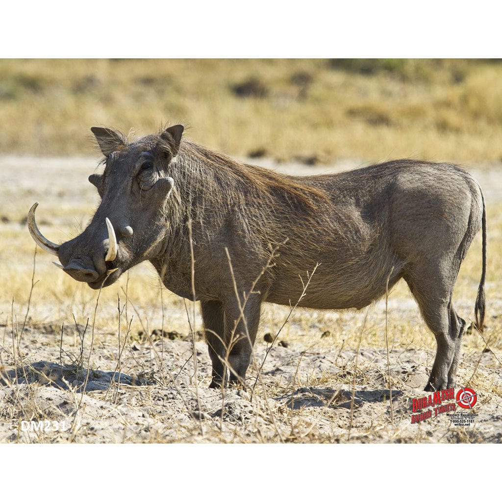 Western Recreation Duramesh Archery Target Warthog 25 In. X 32 In. Targets