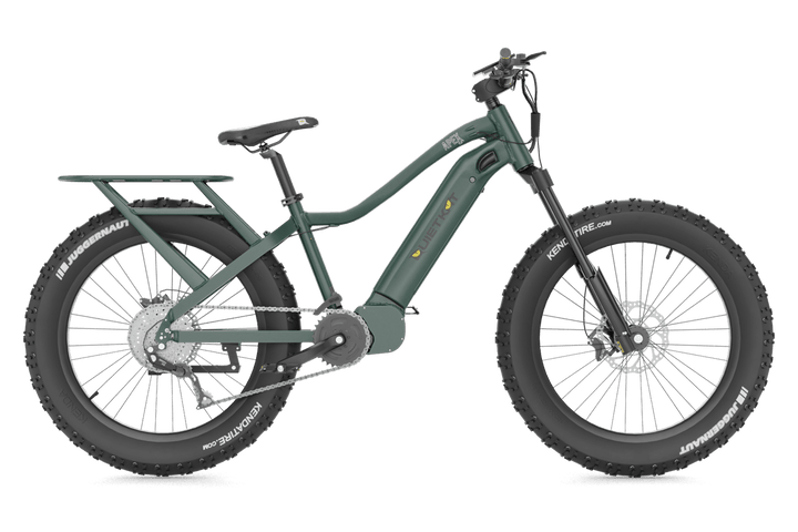 QUIETKAT INC /VISTA OUTDO Quietkat Inc /vista Outdo E-bike, Quiet Apex 10      22-apx-10-evg-19  1000w Large Accessories