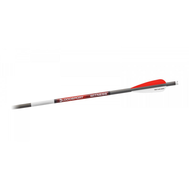 Bloodsport Bloodsport Witness in Crossbow Bolt 20 Inch Archery