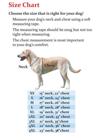 Banded Banded Standard Dog Parka