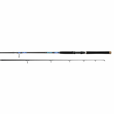 Daiwa Daiwa Beefstick Surf Rod 2 Piece 9ft Medium Heavy XF 10ft Fishing