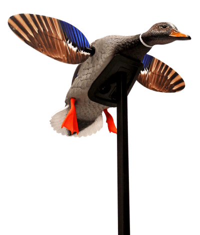 MOJO OUTDOORS Mojo Elite Series Mini Mallard - Drake Decoy Decoys And Accessories