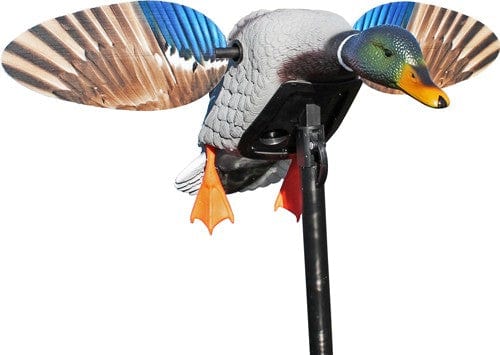 MOJO OUTDOORS Mojo Elite Series Mini Mallard - Drake Decoy Decoys And Accessories