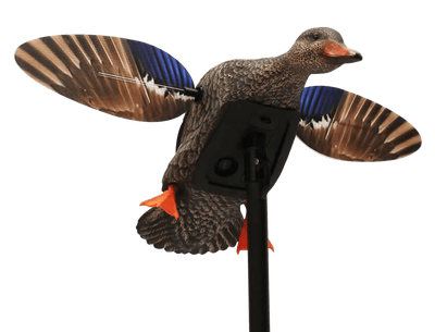 MOJO OUTDOORS Mojo Elite Series Mini Mallard - Hen Decoy Decoys And Accessories