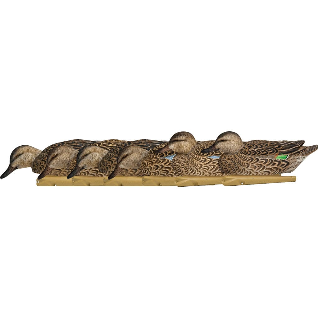 Avian X Avianx Top Flight Duck Decoys Early Season Teal 6 Pk. Decoys