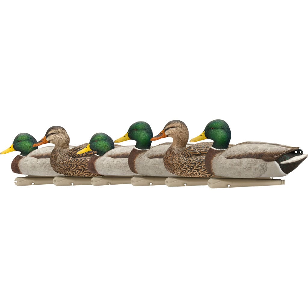 Avian X Avianx Top Flight Duck Decoys Open Water Mallard 6 Pk. Decoys