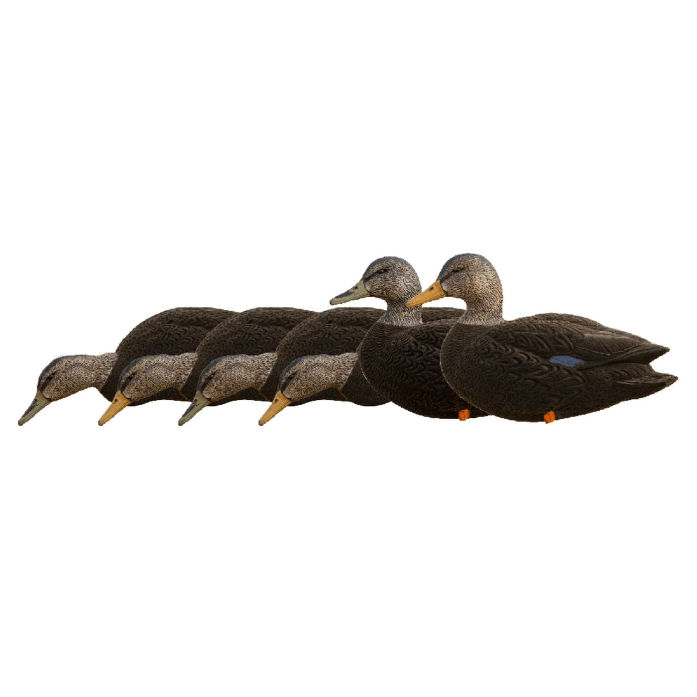 Avian-X Avian-X AXF Black Ducks Fusion Pack Hunting