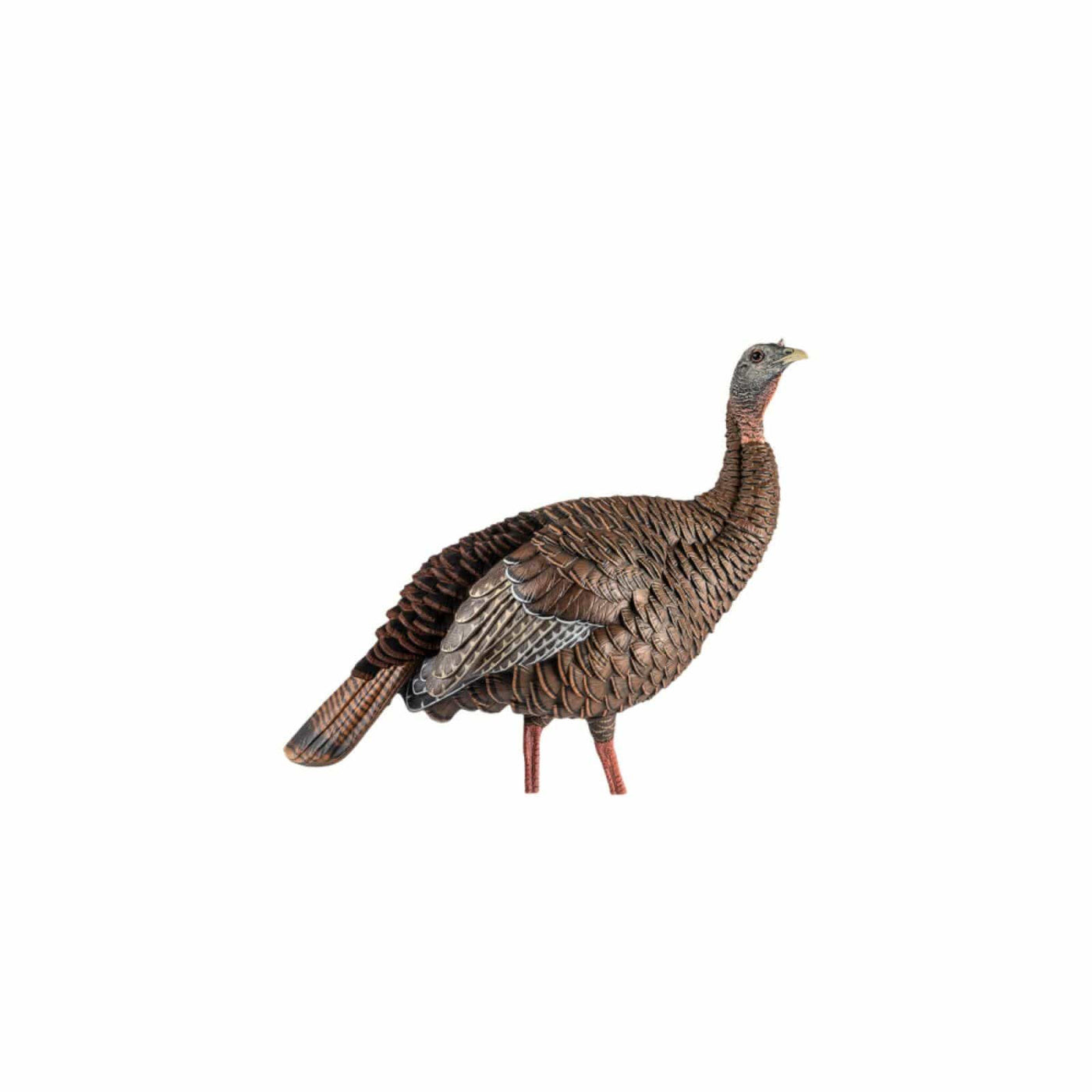 Avian-X Avian-X HDR Hen Decoy Hunting