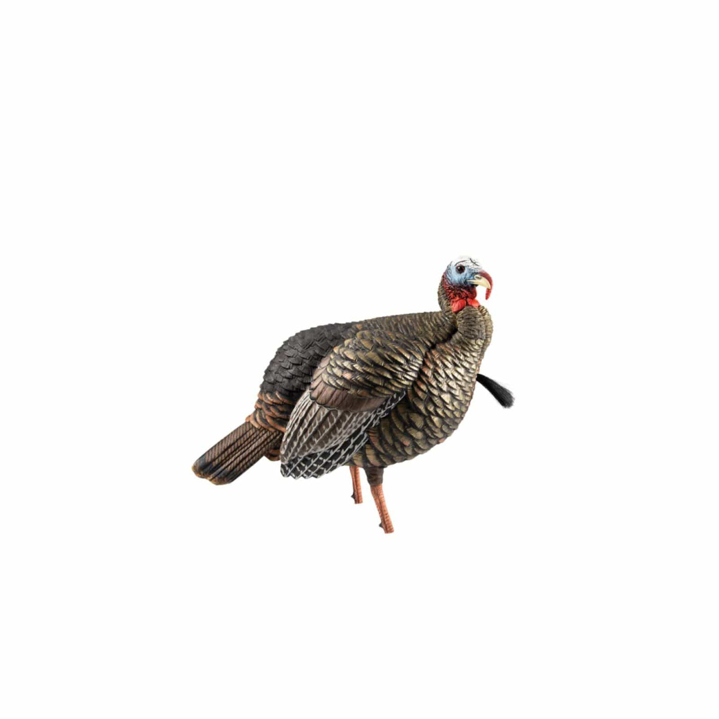 Avian-X Avian-X HDR Jake Decoy Hunting