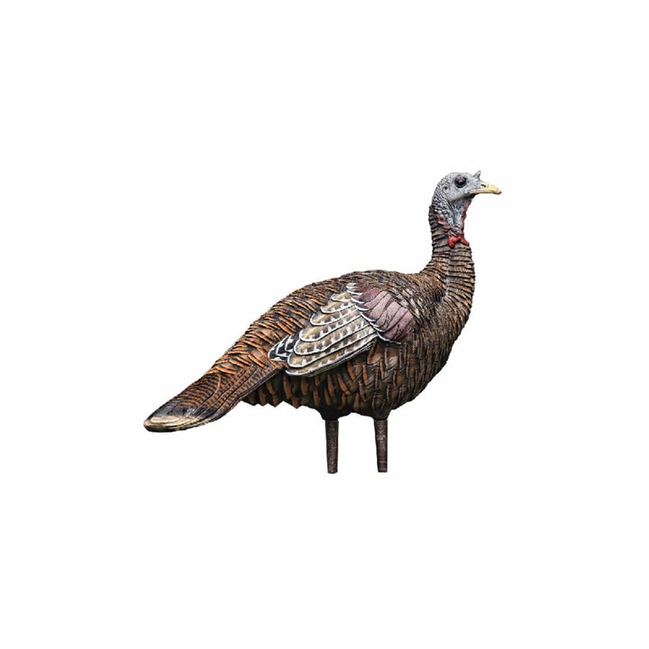 Avian-X Avian-X LCD Lookout Hen Decoy Hunting