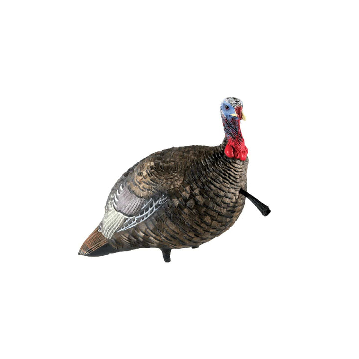 Avian-X Avian-X LCD Quarter Strut Jake Decoy Hunting