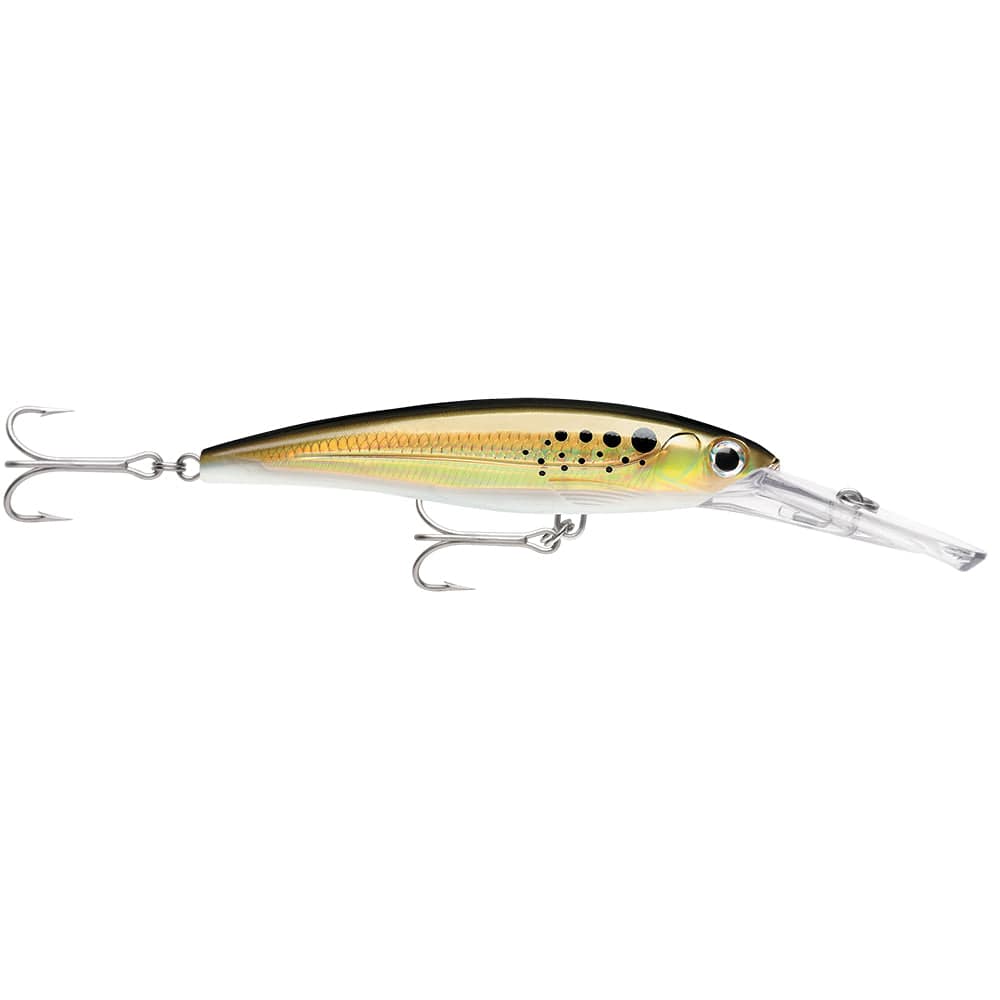 Rapala Rapala X-Rap® Magnum® 15 Bunker Hunting & Fishing